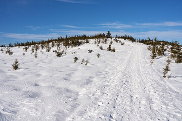 Snowy trail at Silesian Beskid on European Bialy Krzyz in Poland