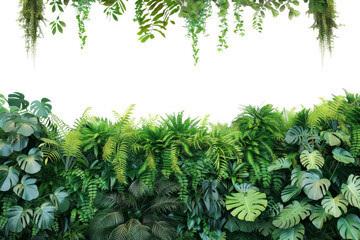 Tropical Garden Wall Design Showcase Isolated on Transparent Background