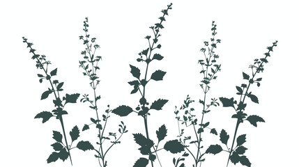 Vector silhouette of plant on white background Flat