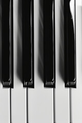 Naklejka premium Piano keys