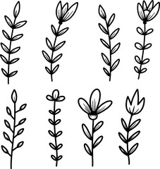 Set of hand drawn floral branches. Design element for decoration. Vector illustration - 769585608