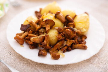 Delicious fried chanterelle mushrooms with new potatoes on a white plate