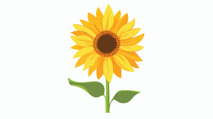 Yellow summer flower sunny flower sunflower silhouett