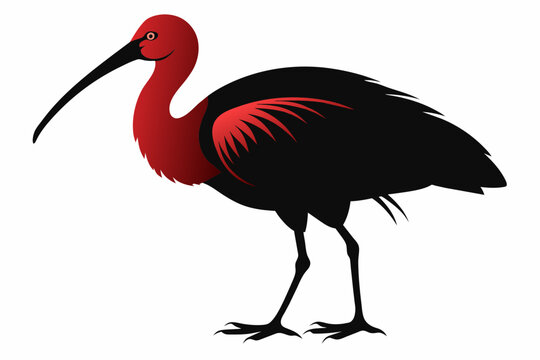 recommend clip art: a ibis beautiful bird silhouette  vector illustration