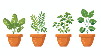 Plant pots with green leaves Vector potted plants  flat