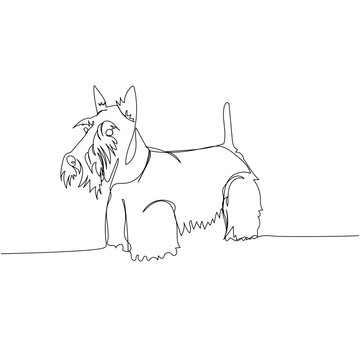 recommend clip art: Scottish Terrier, hunting dog, dog breed, companion dog one line art. Continuous line drawing of friend, dog, doggy, friendship, care, pet, animal, family, canine.
