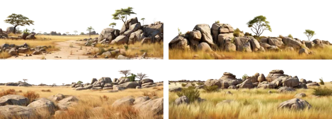 Fotobehang Set of savanna landscapes with faded grass and rocks, cut out © Yeti Studio