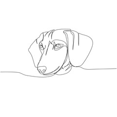 Dachshund short-haired, Teckel, dog breed, companion dog, hunting dog one line art. Continuous line drawing of friend, dog, doggy, friendship, care, pet, animal, family, canine.