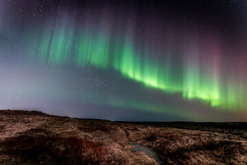 A beautiful northern lights in Reykjavik in Iceland on 2024