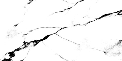 Texture of grunge or dust cracks black and white background. Vector illustration. 