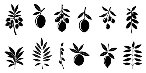 Olive branches with long leaves vector collection. Set of black silhouettes leaves and tree branches. Hand drawn foliage, herbs, tree twig. Vector ink elements isolated on white background. - obrazy, fototapety, plakaty