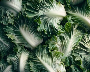 A tapestry of napa cabbage leaves fresh and crisp
