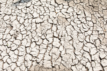 Cracked dry soil infertile terrain