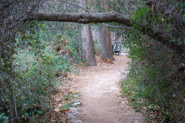 Camino2