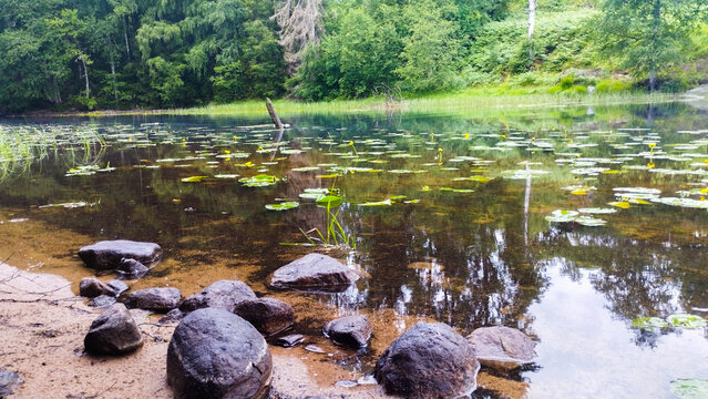 Skandinavisches gew&auml;sser mit Seerosen