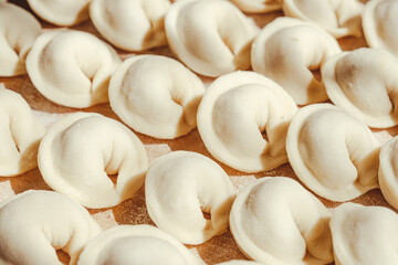 Prepared meat dumplings or pelmeni lying in rows