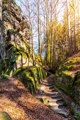 A serene path with stone steps meanders through towering sandstone formations, bathed in sunlight, amidst the verdant forests of Bohemian Paradise in the Czech Republic.