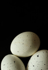 Natural Easter Egg Decoration Black Background Flatlay