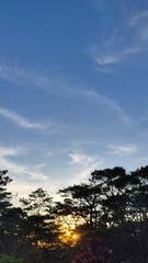 Baguio in a cold March summer afternoon