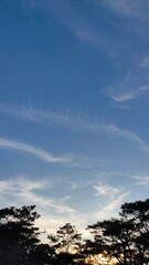 Baguio in a cold March summer afternoon