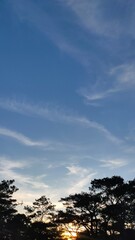 Baguio in a cold March summer afternoon