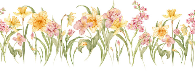 Watercolor hand painted seamless border. Floral illustration Watercolor flowers, yellow daffodils, pink tulips