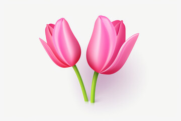 Two beautifully rendered pink tulips with detailed petals and long green stems against a pure white backdrop