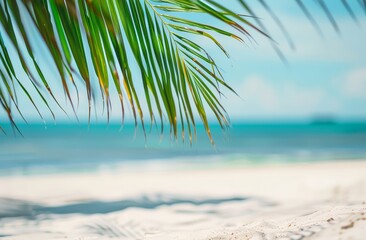 A palm tree on a beautiful beach with white sand and the ocean in the background. Tropical summer vacation in paradise concept.