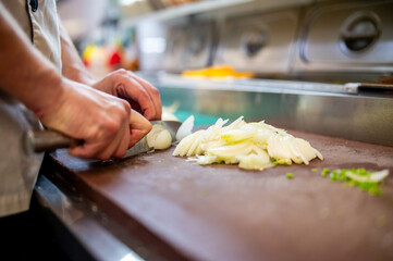 A skilled chef meticulously slices onions on a wooden cutting board in a well-equipped kitchen, showcasing precision and culinary artistry