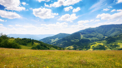 Fototapeta na wymiar carpathian countryside with grassy meadows. beautiful rolling landscape in summer with stunning sky