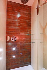 Shower Cabin With Brown Tiles Contemporary Home Bathroom