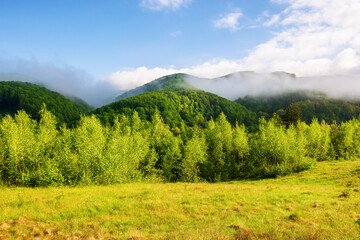carpathian countryside scenery on a sunny morning in spring. mountainous landscape with grassy meadows and fog on the hills. clouds above the mountains