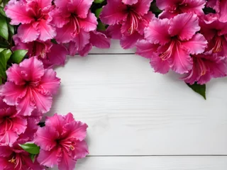 Plexiglas foto achterwand Floral background for congratulations. Beautiful magenta azaleas flowers on a white wooden background with copy space, top view. Light wooden template with border of a flowering azaleas © Anna