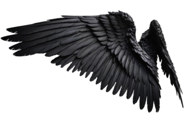 black angel wings