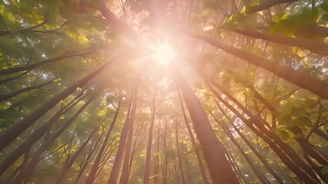 Nature's charm: Animated forest scene features lush greenery under golden light.