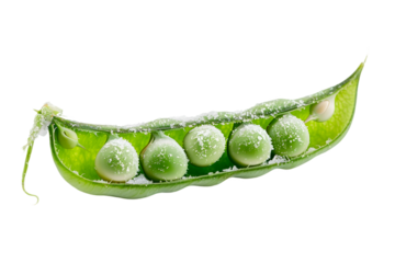 Frozen green pea pod with frost isolated on transparent background. Food design element for ads, promo, flyers, web site. Frosty green pea pod with snowflakes. Green pea pod dusted ice flakes