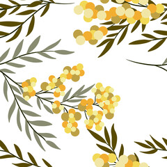 pattern with spring flowers mimosas 