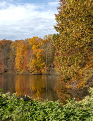Country pond in beautiful autumn colors