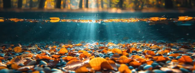 Fotobehang fallen leaves fall down into river floor, crystal clear water, underwater scenery, beautiful nature background, Generative Ai © QuietWord