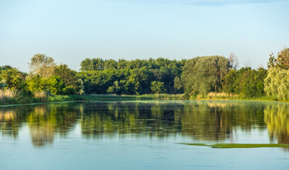 Fototapeta na wymiar Forest with deciduous trees on the bank of a wide river or lake, countryside landscape on a summer sunny day