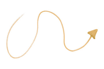 Light brown arrows isolated on transparent background.