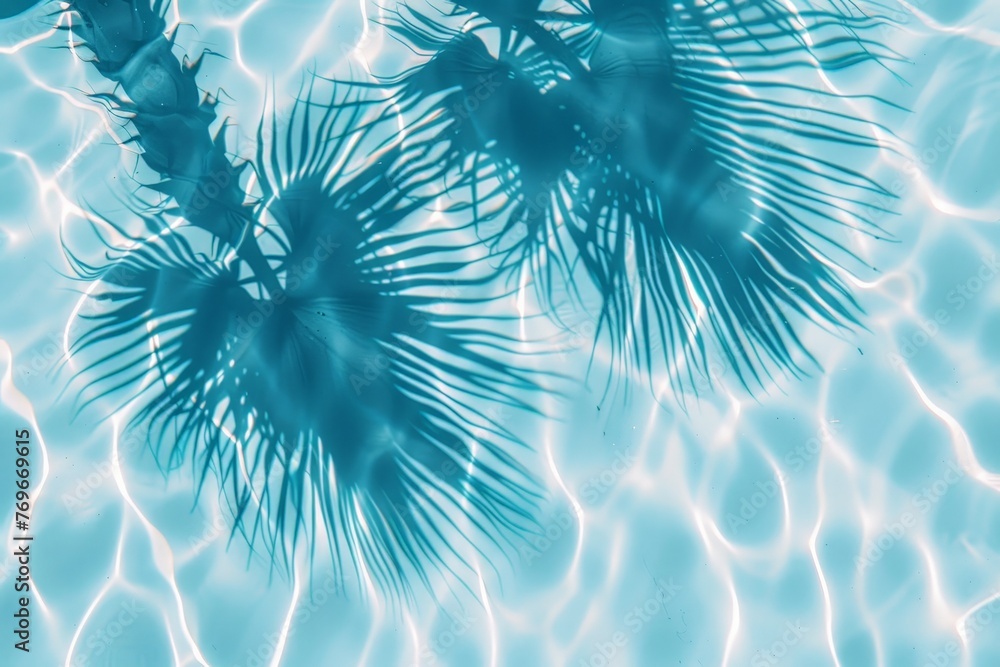 Poster A palm tree casts a graceful shadow in a pool of water, creating mesmerizing patterns that dance with the gentle movement of the ripples