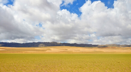 Erdene Grasslands and dunes on Gobi Desert, Mongolia