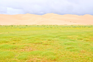 Erdene Grasslands and dunes on Gobi Desert, Mongolia