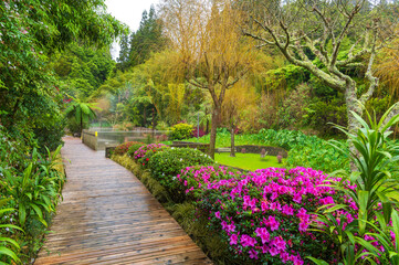 Discover the tranquil Poças da Dona Beija hot springs nestled in Sao Miguel lush landscapes, offering a serene wellness escape amid Azores volcanic nature. - 769678650
