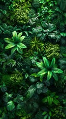 Lush Tropical Rainforest Foliage with Vibrant Green Leaves and Diverse Plant Life in a Thriving Jungle Ecosystem