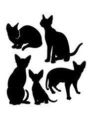 Cat pet animal action silhouette