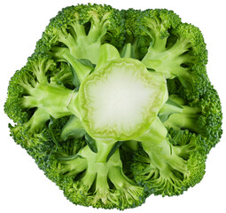 Broccoli isolated on a transparent background, bottom view. Completely in focus.