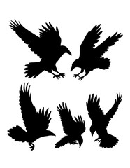 Crow bird animal flying silhouette