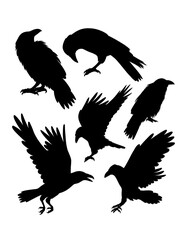 Crow bird poultry animal silhouette